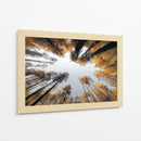 Grandes alturas - DIEGO D L | Cuadro decorativo de Canvas Lab