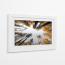 Grandes alturas - DIEGO D L | Cuadro decorativo de Canvas Lab