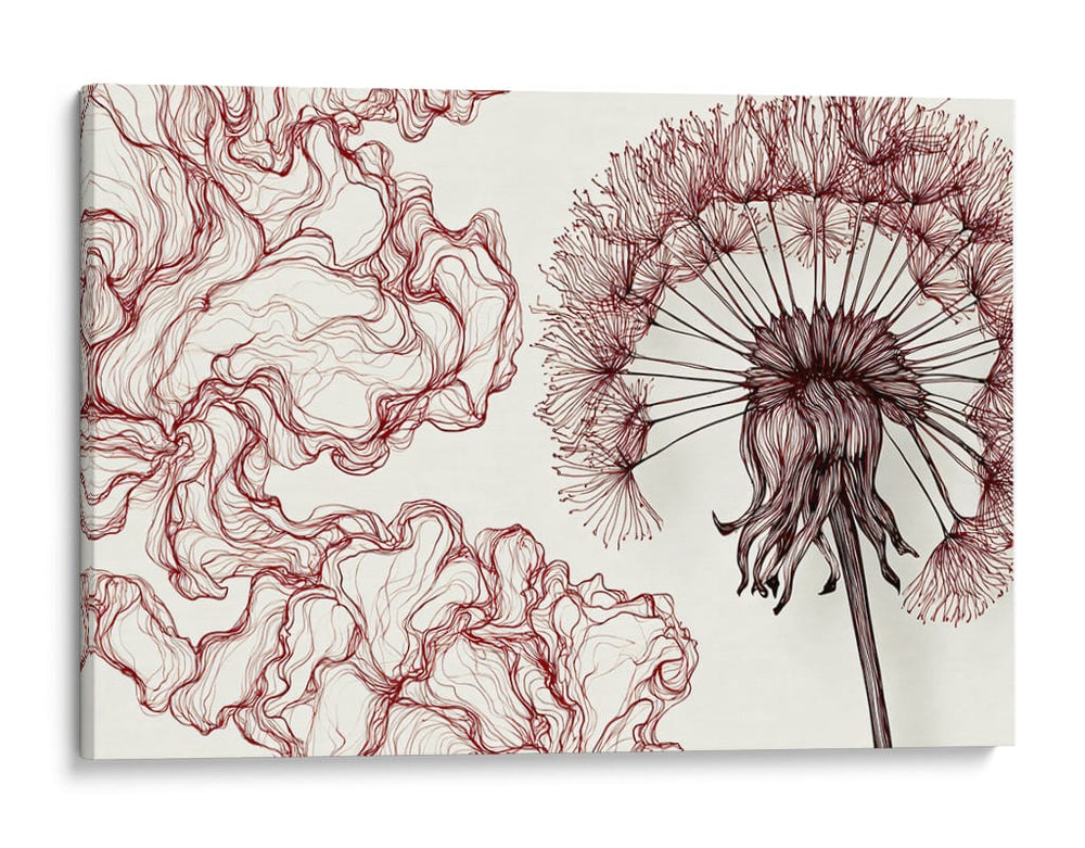 Dientes de león rojizos - DIEGO D L | Cuadro decorativo de Canvas Lab