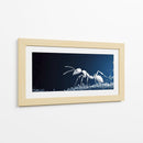 Hormiga blanca - Cecilia Flores | Cuadro decorativo de Canvas Lab