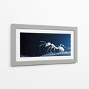Hormiga blanca - Cecilia Flores | Cuadro decorativo de Canvas Lab