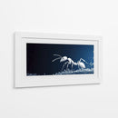 Hormiga blanca - Cecilia Flores | Cuadro decorativo de Canvas Lab
