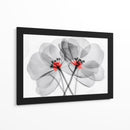 Flores transparentes - Cecilia Flores | Cuadro decorativo de Canvas Lab