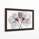 Flores transparentes - Cecilia Flores | Cuadro decorativo de Canvas Lab