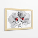 Flores transparentes - Cecilia Flores | Cuadro decorativo de Canvas Lab