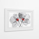Flores transparentes - Cecilia Flores | Cuadro decorativo de Canvas Lab