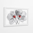 Flores transparentes - Cecilia Flores | Cuadro decorativo de Canvas Lab