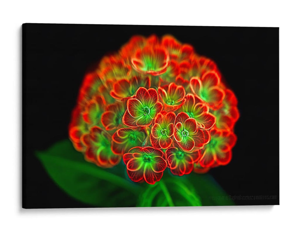 Ramo de flores - Cecilia Flores | Cuadro decorativo de Canvas Lab