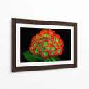 Ramo de flores - Cecilia Flores | Cuadro decorativo de Canvas Lab