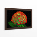 Ramo de flores - Cecilia Flores | Cuadro decorativo de Canvas Lab