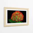 Ramo de flores - Cecilia Flores | Cuadro decorativo de Canvas Lab