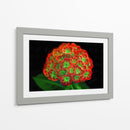 Ramo de flores - Cecilia Flores | Cuadro decorativo de Canvas Lab