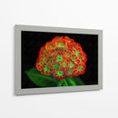 Ramo de flores - Cecilia Flores | Cuadro decorativo de Canvas Lab