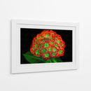 Ramo de flores - Cecilia Flores | Cuadro decorativo de Canvas Lab