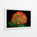 Ramo de flores - Cecilia Flores | Cuadro decorativo de Canvas Lab