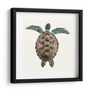 Tortuga De Mosaico I - Grace Popp | Cuadro decorativo de Canvas Lab