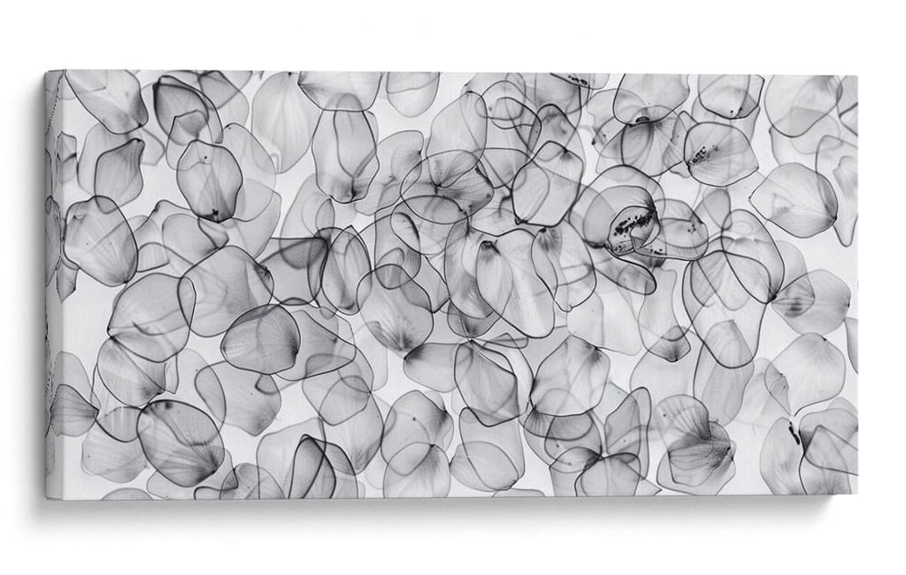 Pétalos - Cecilia Flores | Cuadro decorativo de Canvas Lab
