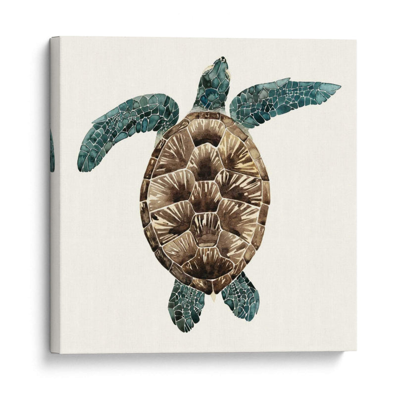 Tortuga De Mosaico Ii - Grace Popp | Cuadro decorativo de Canvas Lab