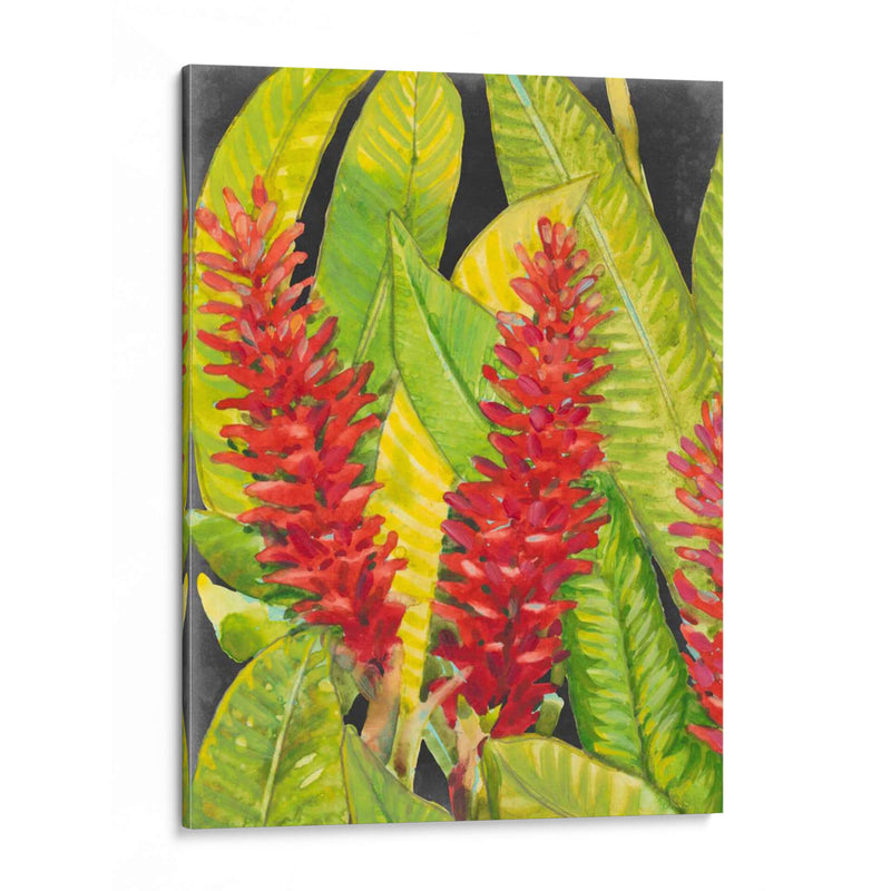 Flores Tropicales Rojas I - Tim OToole | Cuadro decorativo de Canvas Lab