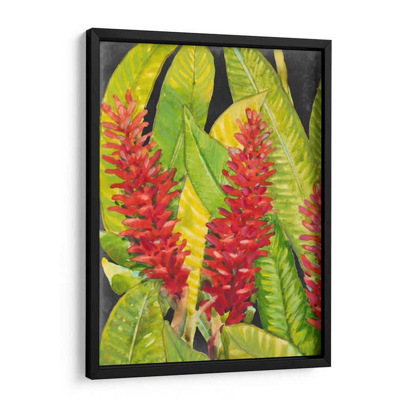 Flores Tropicales Rojas I - Tim OToole | Cuadro decorativo de Canvas Lab