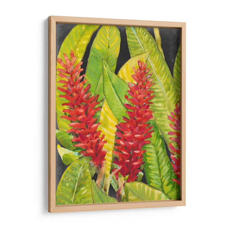 Flores Tropicales Rojas I - Tim OToole | Cuadro decorativo de Canvas Lab