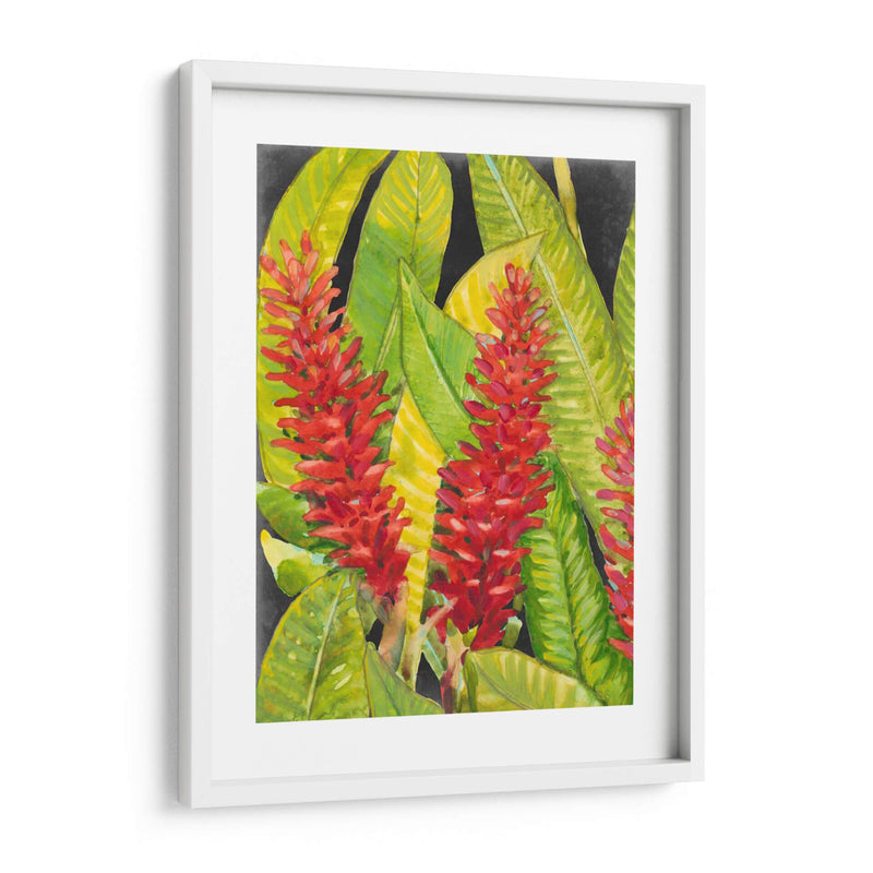 Flores Tropicales Rojas I - Tim OToole | Cuadro decorativo de Canvas Lab