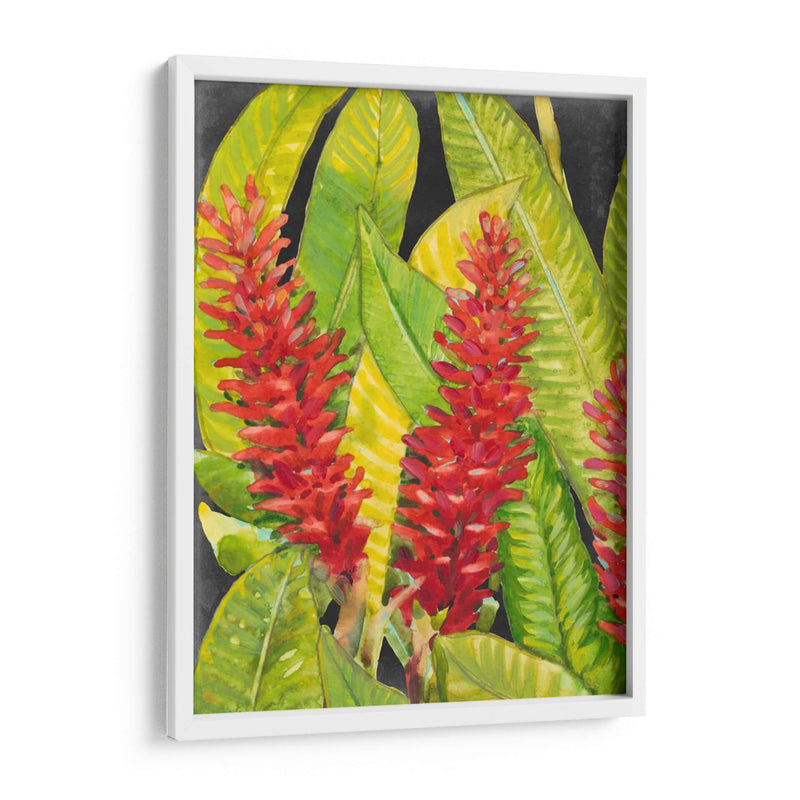 Flores Tropicales Rojas I - Tim OToole | Cuadro decorativo de Canvas Lab