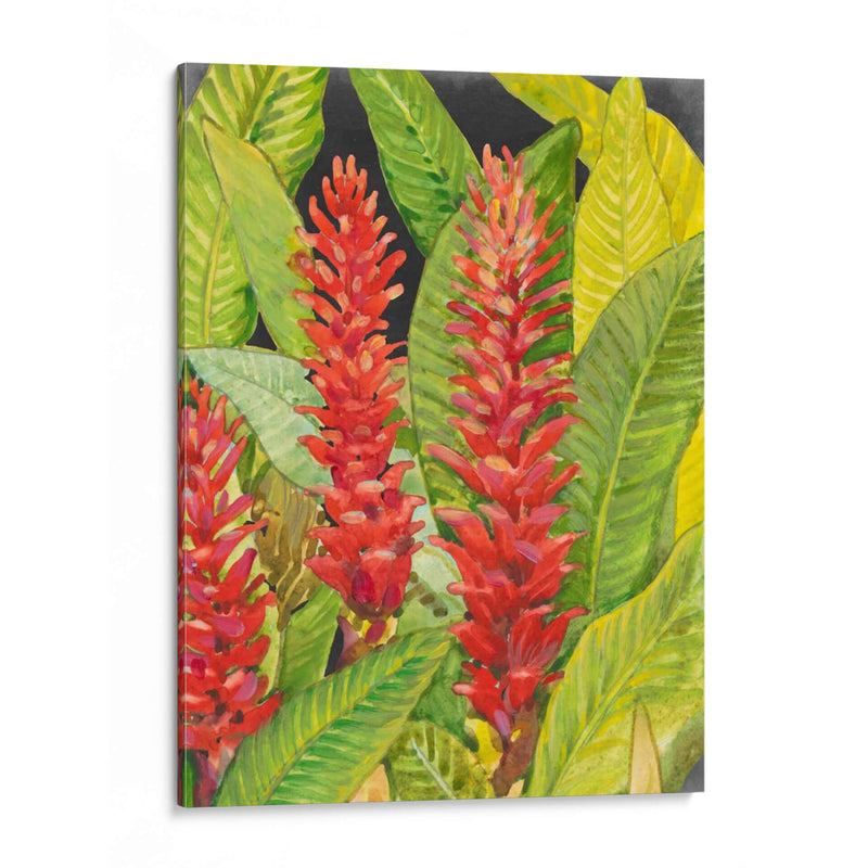 Flores Tropicales Rojas Ii - Tim OToole | Cuadro decorativo de Canvas Lab