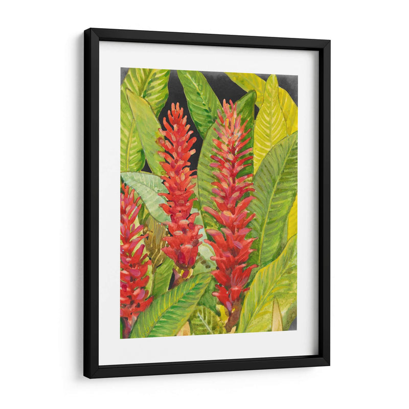 Flores Tropicales Rojas Ii - Tim OToole | Cuadro decorativo de Canvas Lab