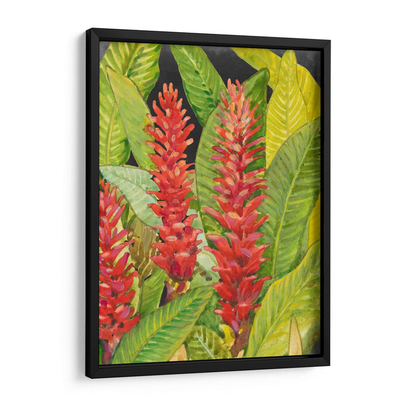 Flores Tropicales Rojas Ii - Tim OToole | Cuadro decorativo de Canvas Lab