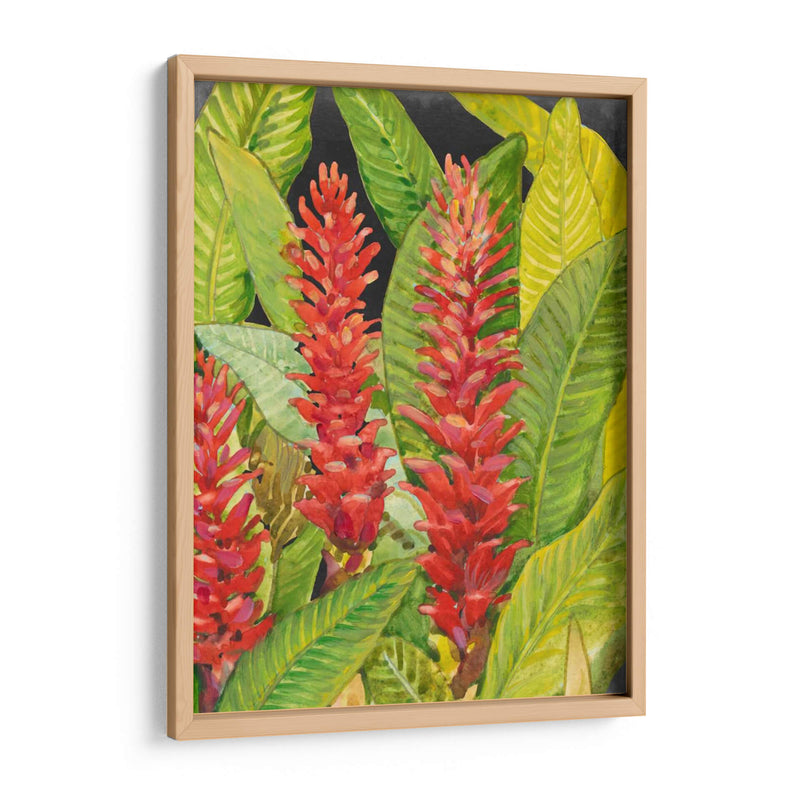 Flores Tropicales Rojas Ii - Tim OToole | Cuadro decorativo de Canvas Lab