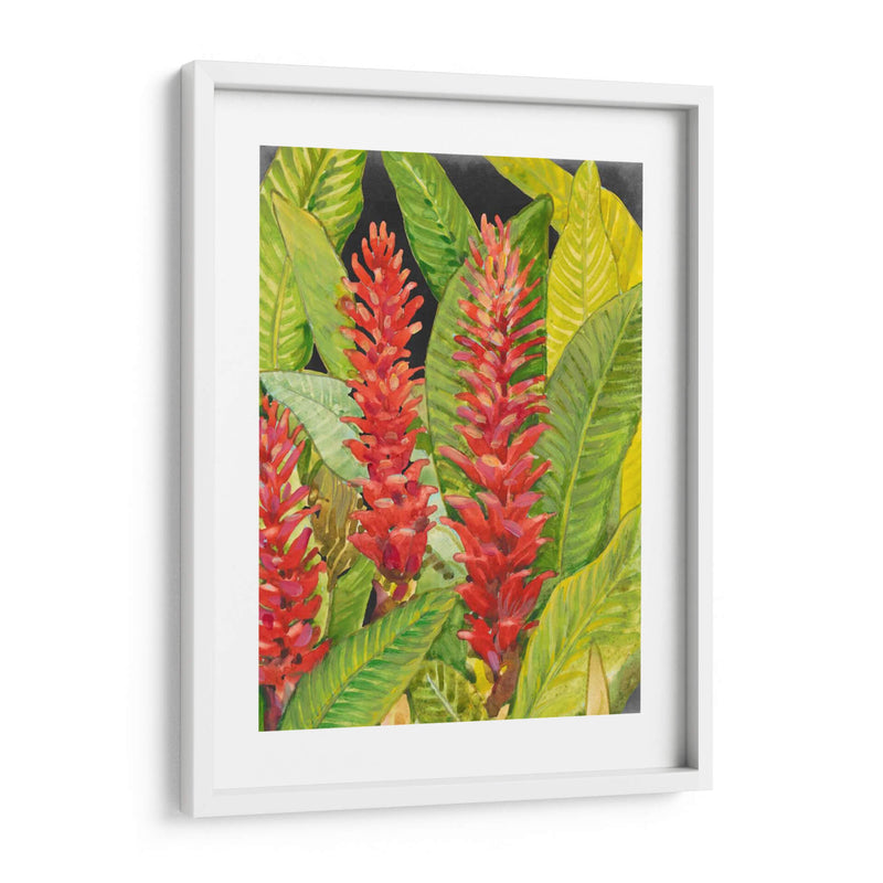 Flores Tropicales Rojas Ii - Tim OToole | Cuadro decorativo de Canvas Lab