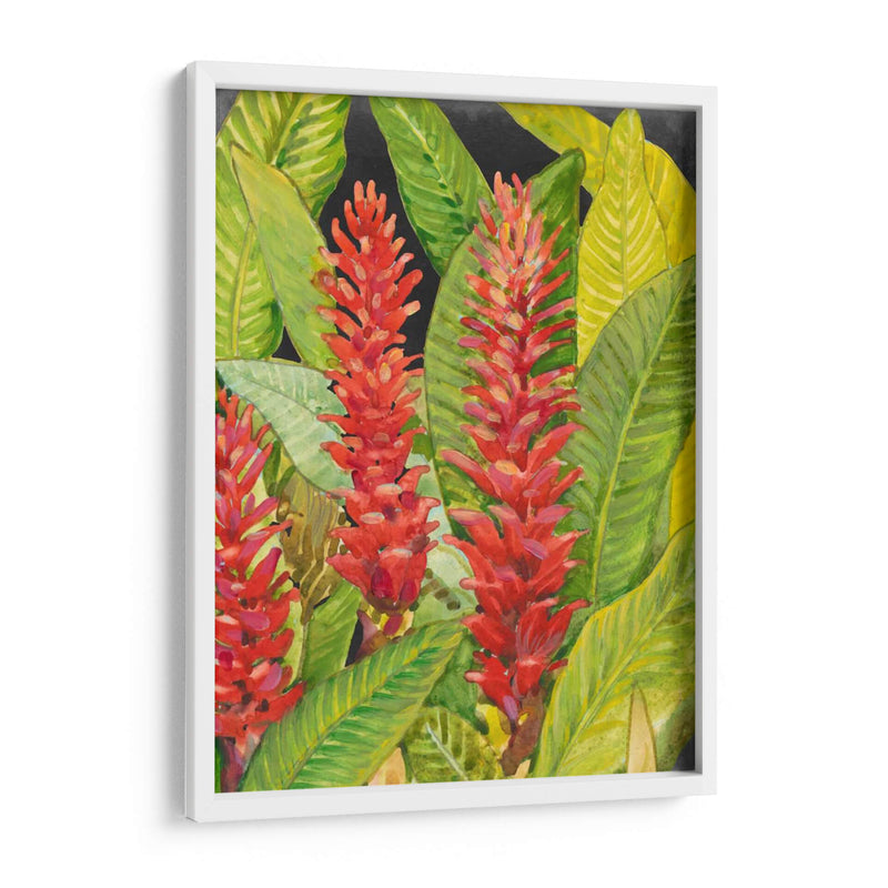 Flores Tropicales Rojas Ii - Tim OToole | Cuadro decorativo de Canvas Lab