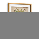 Estudio De Piña I - Tim OToole | Cuadro decorativo de Canvas Lab