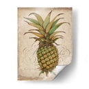 Estudio De Piña I - Tim OToole | Cuadro decorativo de Canvas Lab