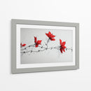 Serie floral - DIEGO D L | Cuadro decorativo de Canvas Lab