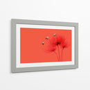 Insectos primarios - DIEGO D L | Cuadro decorativo de Canvas Lab