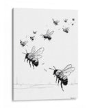 Insectos polinizadores - DIEGO D L | Cuadro decorativo de Canvas Lab