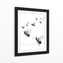 Insectos polinizadores - DIEGO D L | Cuadro decorativo de Canvas Lab