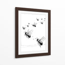 Insectos polinizadores - DIEGO D L | Cuadro decorativo de Canvas Lab