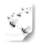 Insectos polinizadores - DIEGO D L | Cuadro decorativo de Canvas Lab