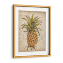 Estudio De Piña Ii - Tim OToole | Cuadro decorativo de Canvas Lab