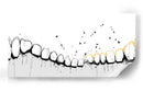 Dientes monumentales - DIEGO D L | Cuadro decorativo de Canvas Lab