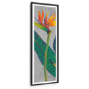 Pájaro Del Paraíso Tríptico I - Tim OToole | Cuadro decorativo de Canvas Lab