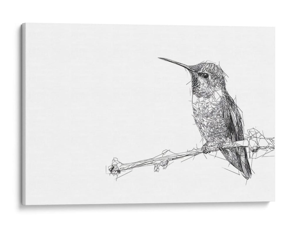 Colibrí - DIEGO D L | Cuadro decorativo de Canvas Lab