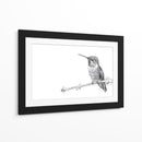 Colibrí - DIEGO D L | Cuadro decorativo de Canvas Lab