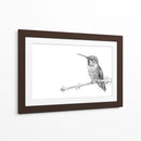 Colibrí - DIEGO D L | Cuadro decorativo de Canvas Lab