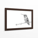 Colibrí - DIEGO D L | Cuadro decorativo de Canvas Lab