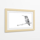 Colibrí - DIEGO D L | Cuadro decorativo de Canvas Lab