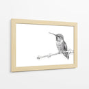 Colibrí - DIEGO D L | Cuadro decorativo de Canvas Lab